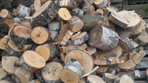 zdjęcie naszego drewna na naszym składzie drewna
